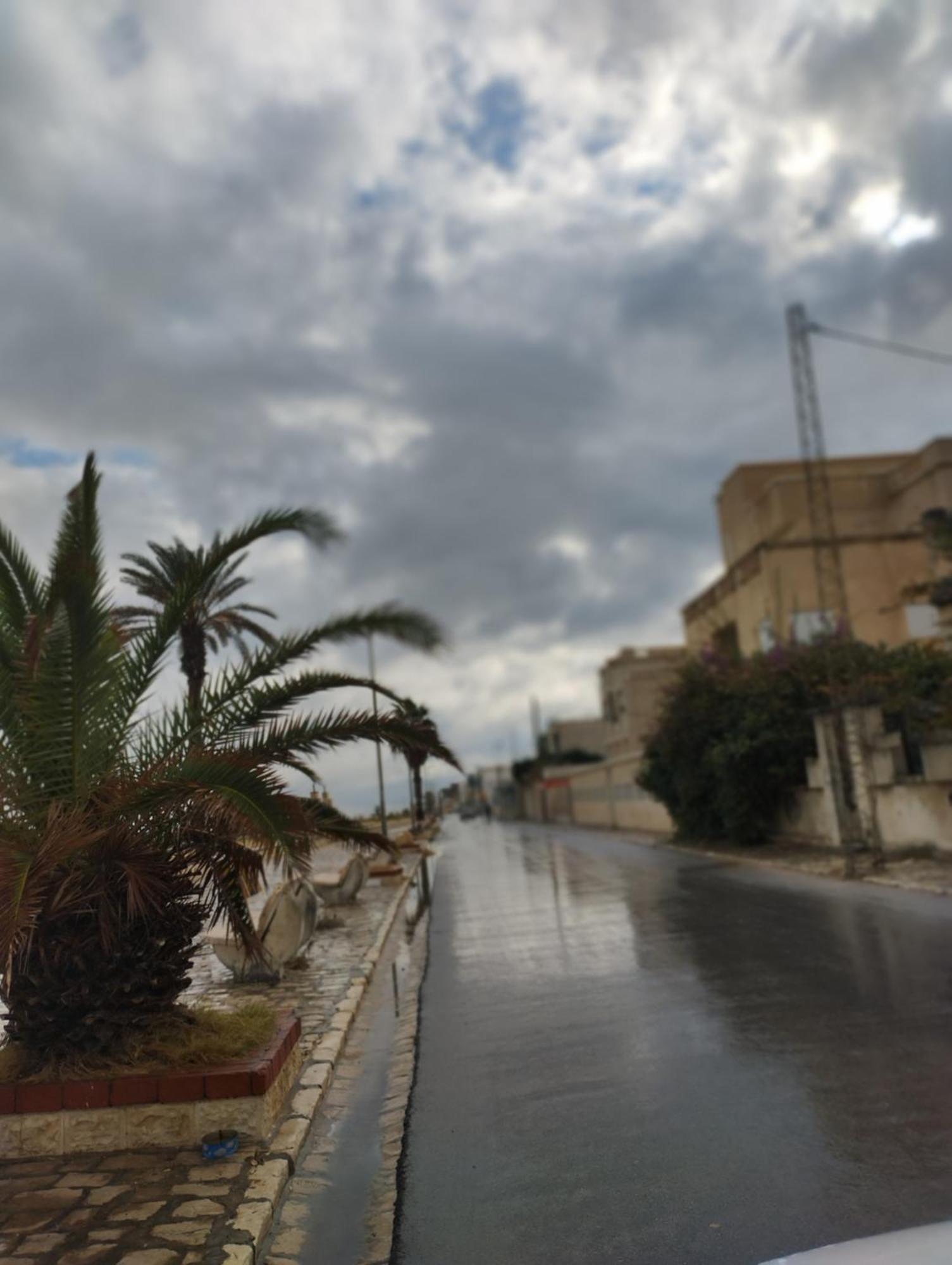 Appartement Hammam-Lif Les Cyclamens Tunisie Afrique ภายนอก รูปภาพ
