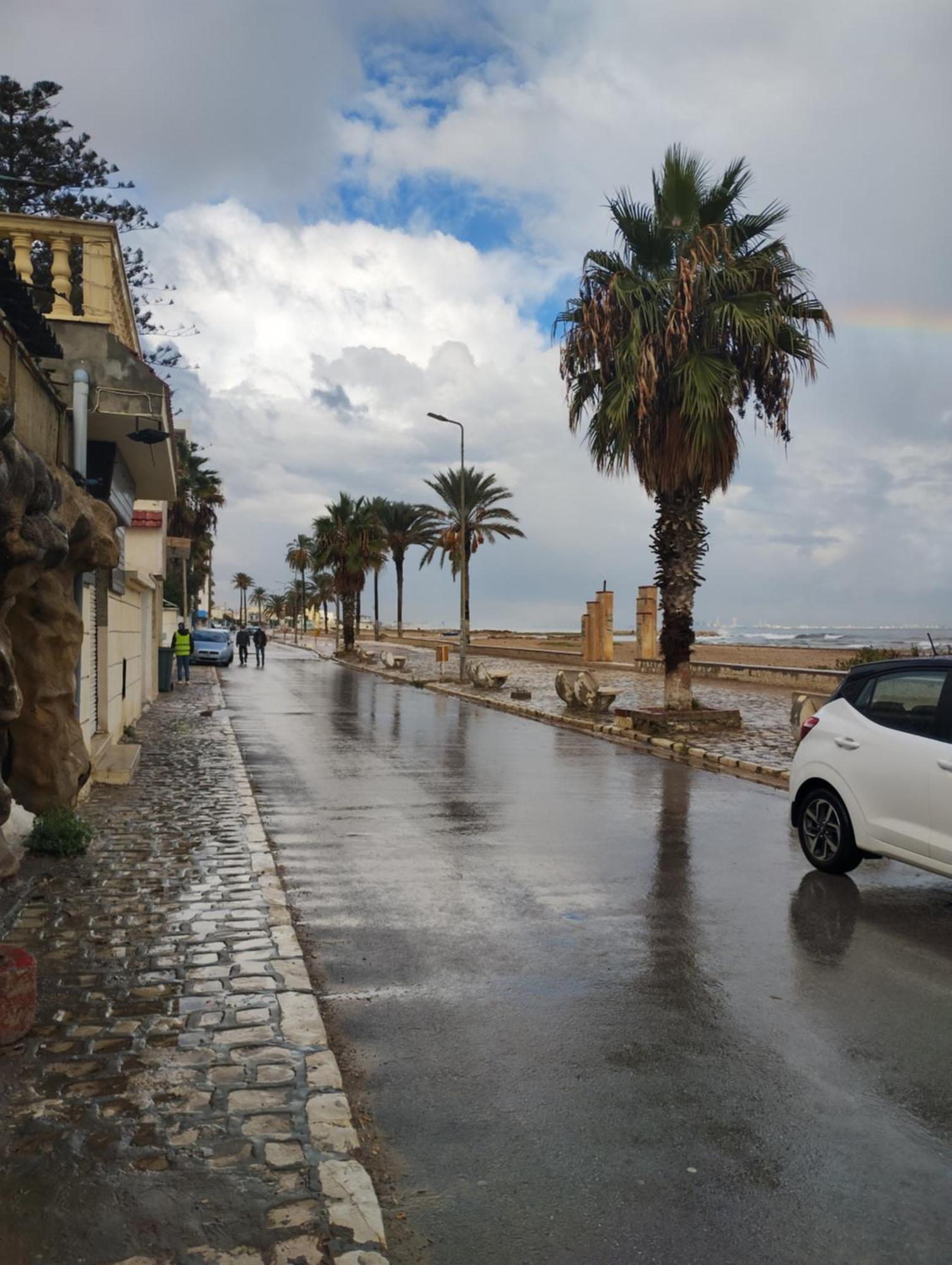 Appartement Hammam-Lif Les Cyclamens Tunisie Afrique ภายนอก รูปภาพ